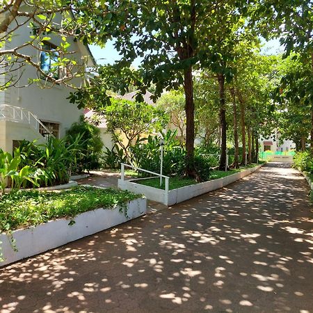 Angels Resort Aradi Socorro Экстерьер фото